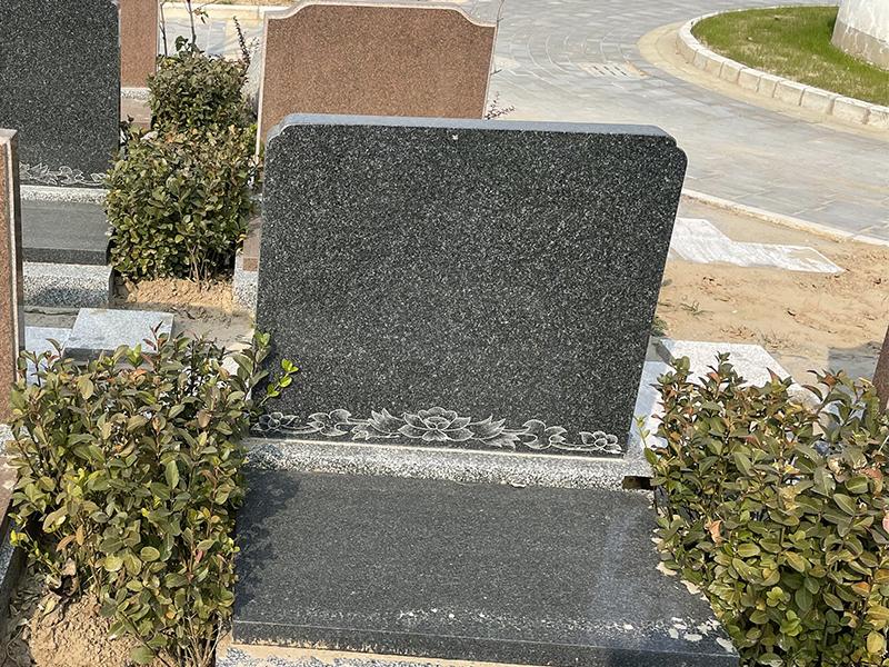 至善园公墓树葬多少钱